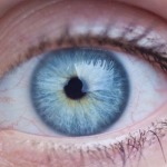 Blauwe oogkleur bij mensen