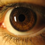 De dominante oogkleur bij mensen is bruin