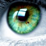 Groene ogen iris