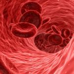 Wat is de betekenis van hematocriet waarde in bloed