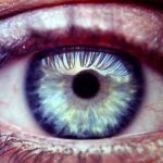 De blauwe oogkleur bij mensen: zeldzaam